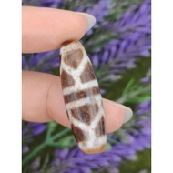 💥Ready Stock💥  ⚡ 高油 ⚡ 老气 水草玛瑙 双龟甲天珠  Moss Agate Double Turtle Back Dzi Manik CW2449