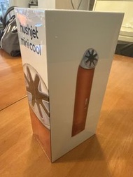 Dyson hushjet mini cool
