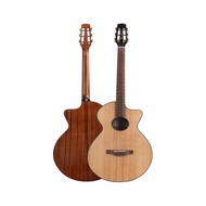 USA DDP | WaveGarden WG - TS-2/2E/3E Electric - Acoustic Guitar for Beginner to Pro, Studio & Stage
