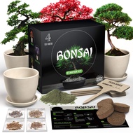 HOME GROWN Bonsai Tree Kit. Bonsai Tree Starter Kit with 4 Seeds Types, incl. Purple Bonsai Tree Ind