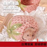 🔥Taiwan Shipping🔥 Hamster Igloo Hamster Igloo Hamster Igloo Hamster Igloo Hamster Ceramic Igloo Iglo
