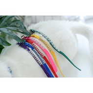 Cat Collar with Diamond Decoration
