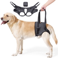 [Dog] Dog Supplies Injured Dogs Back Leg Auxiliary Straps Age Injured Dogs Recovery Straps Auxiliary