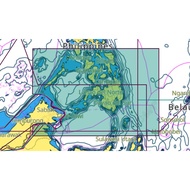 Cmap 4D For Furuno and Raymarine models