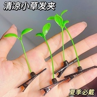 ​​🌿 Sprout Hair Clip Set | Cute Growing Grass Styling 🌱 | Viral TikTok Accessory for Teens​
