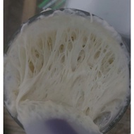 Sourdough yeast, natural yeast for bread 100 grams