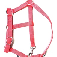 Horse Bridle and Reins Webbing Series Equestrian Supplies Available in Different Styles and Colors