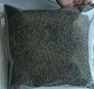 BIBIT WORTEL BRASTAGI SUPER ORIGINAL ( 1kg )