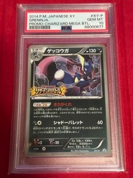 Pokemon Card PTCG 寵物小精靈 寶可夢卡 日版 甲賀忍蛙 Greninja XY-P 2014 Promo PSA 10