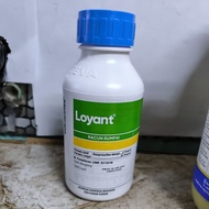 LOYANT (500ML) Racun Rumput Sambau / Racun Rumput Padi Burung / Racun Rumput Keladi Agas / Racun Rum