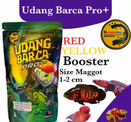 Udang Barca Pro++ Blue Red Yellow Multi Color El Barca