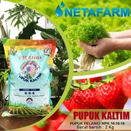 ORI Pupuk Kaltim Pelangi NPK 16 - 16 - 16 Kemasan 2 kg