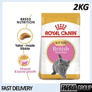 [ PAPAYA GROUP ]  Royal Canin British Shorthair Kitten (2kg) Dry Cat Food Makanan Kucing – Feline Breed Nutrition - Cat Food / Pet Food / Cat Dry Food / Makanan Kucing / Cat Food Dry Food / Makanan Kucing Kering / Dry Food