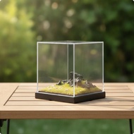[lzdjlmy2ua] Display Case with Dust Cover Dustproof Diorama with Dust Cover 1/64 Scale Diorama Clear