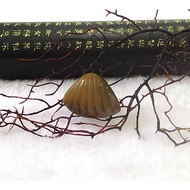 [Disk Crystal] [Money Fortune] Top Salt Source Agate Shell Carving Pendant JX-22 (15x21x7mm Weight 2