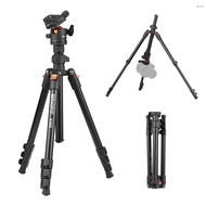Toho TRIOPO K268 Portable Photography Tripod Stand Aluminum Alloy 360°Panorama Ball Head 162cm/63.8in Max. Height 10kg/22lbs Load Capacity Travel Camera Tripod with Carry Bag