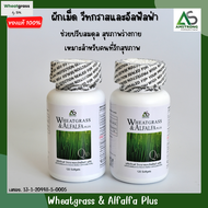 (2 กระปุก 240 เม็ด) Wheatgrass &amp; Alfalfa Plus ผลิตภัณฑ์อาหารเสริมแอมสตรอง 🌾 วีทกราส อัลฟัลฟ่า พลัส ผักเม็ดแท้ สูตรดั้งเดิม ผักอัดเม็ด superfood โปรตีนสูง