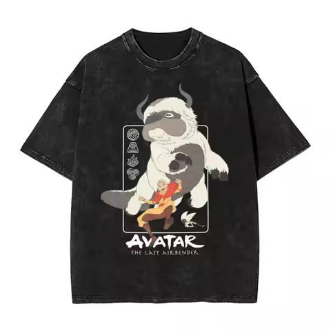 Washed T Shirt Avatar-The Last Airbender Air Nomad Friends Hip Hop Vintage T-Shirt Oversize Streetwe