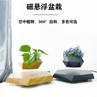 Potted Potted Plant Flowerpot Magnetic Levitation Magnetic Levitation New Style Bonsai Levitation Ge