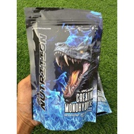 OX Nutrition CREATINE POWDER 300gram MONOHYDRATE FREE SCOOP