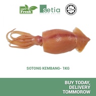 Sotong Kembang Segar (1kg)