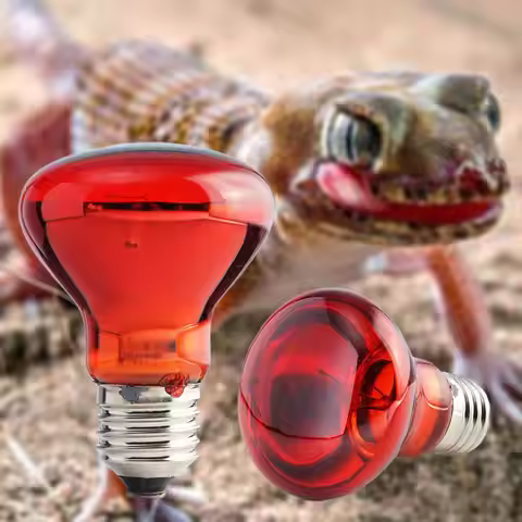 E27 Amphibian Snake Reptile Light Bulb Heat Night Light For Amphibian Snake Lamp Heat Bulb UV Light 