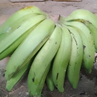buah pisang nangka tua masuk tahap matang 1kg