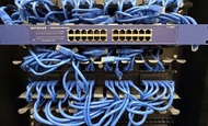 Netgear ProSafe JG5524 24-Port Gigabit Ethernet Switch 98% NEW 交換器