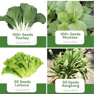 Sale All in 4 in 1 Pack (100 Pechay, 100 Mustasa, 50 Lettuce, 50 Kangkong) Vegetable Outdoor Garden 