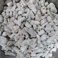 aquarium coral stone 1kg