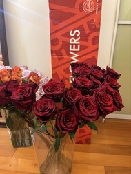 厄瓜多爾紅玫瑰