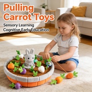 Fishing Edu plush toys Pulling Cognitive Carrot Number Sensory 24 Early Pairing Stuffed