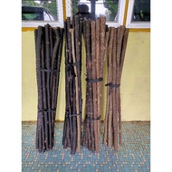 KAYU TAS ASLI SEMENANJUNG/KAYU HUJAN PANAS/KAYU LIMPANAS