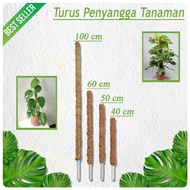 Tiang penyangga tanaman rambat | Turus penyangga tanaman | Turus rambatan tanaman ajir tanaman ramba