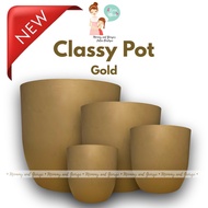 NEW Gold Classy Plastic Pots | Minimalist TIMBA | Pots for Plants Big Size (Holes upon Request)