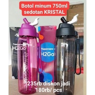 H2GO STRAW BOTTLE