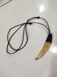 AKSESORIS KALUNG TARING MACAN ASLI / KALUNG TARING MACAN LLIT TALI ORIGINAL