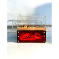 [DT11] Ant Farming Cave Light Tank/ Ant Nurturing Tank/ Ant Raising Box/ Standing Tank/ Light Tank