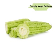 Fresh Bitter Gourd / Peria 苦瓜
