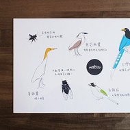 Maotu - 遇見鳥朋友 明信片