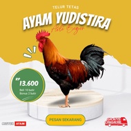 Telur Ayam Kampung Yudistira (PS)