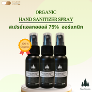 HAND SANITIZER SPRAY กลิ่นความอบอุ่นจากเตาผิง