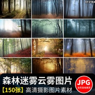 Primitive Forest Mist Cloud Forest Horror Forest Mist Morning Mist Clouds Wrap Natural Beautiful Lan