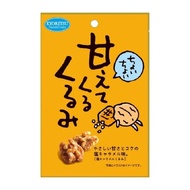 +Hot Buy Japan+KYORITSU KYORITSU Salt Caramel Flavor Walnut 30g Nut Casual Snacks Japan Must