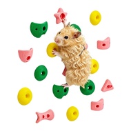 amore Plastic Reptiles Habitat Climbing Wall Toy Set for Hamster Habitat Activity Use