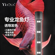 Special Light for Arowana Fish Tank Lighting LED Three Primary Colors Waterproof Ornamental Light fo