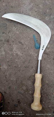 arit rumput asli per baja 100%di jamin kuat