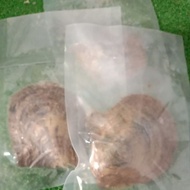 Oyster pearl 6mm-7mm