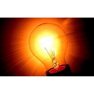 60W incandescent round light bulb with E27 socket - Dien Viet