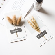 INS dried flowers card Eucalyptus small wheat rabbit tail grass ornaments photo props photography ba